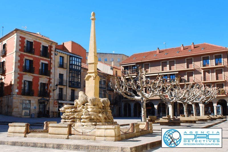 Detectives privados en Soria